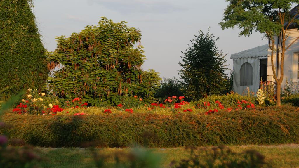 Przybysławice Dwor Na Wichrowym Wzgorzu B&B 외부 사진