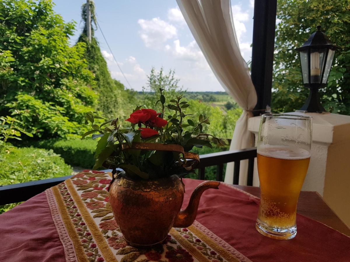 Przybysławice Dwor Na Wichrowym Wzgorzu B&B 외부 사진