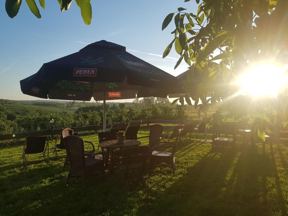 Przybysławice Dwor Na Wichrowym Wzgorzu B&B 외부 사진
