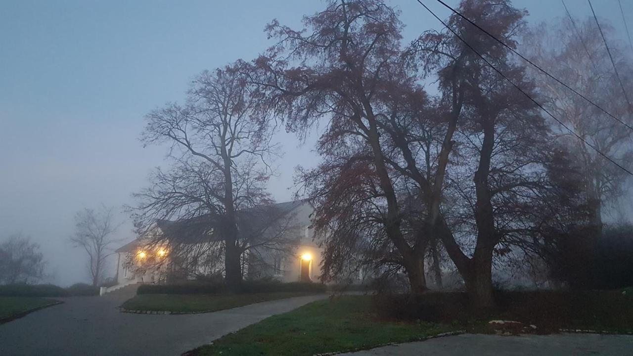 Przybysławice Dwor Na Wichrowym Wzgorzu B&B 외부 사진